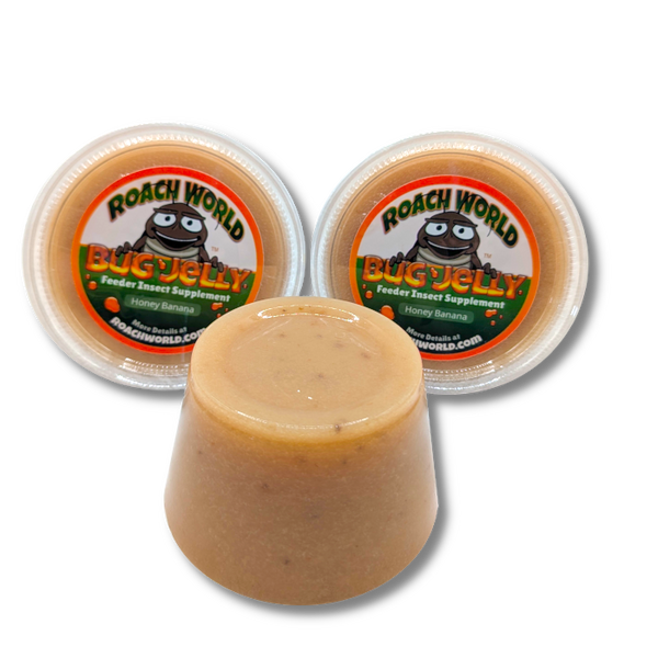 Flavored Bug Jelly