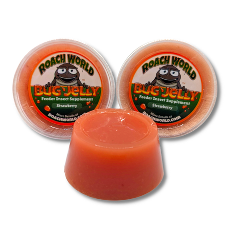 Flavored Bug Jelly
