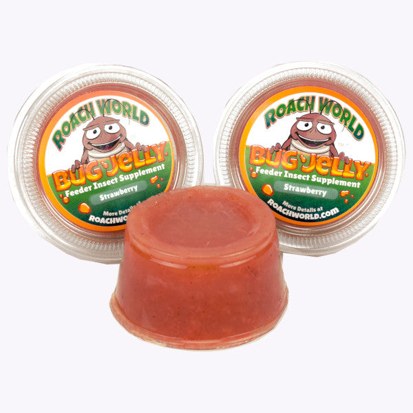 flavored bug jelly