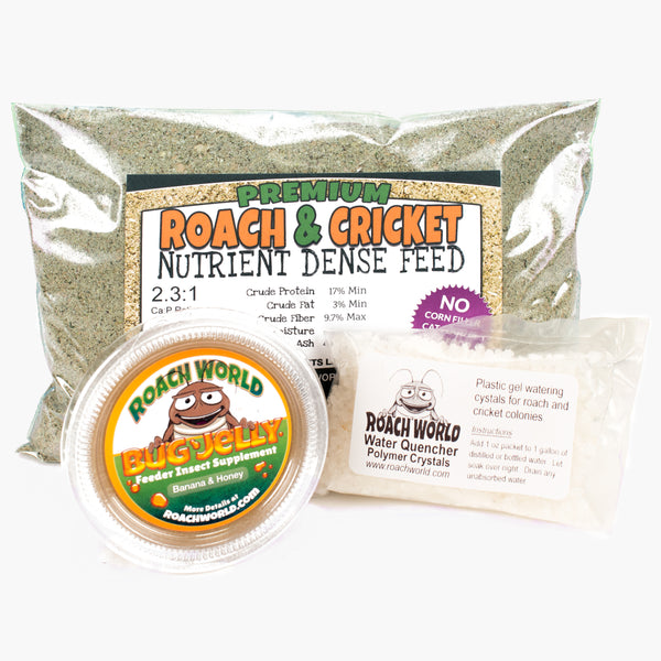 dubialicious roach & cricket chow bundle kit